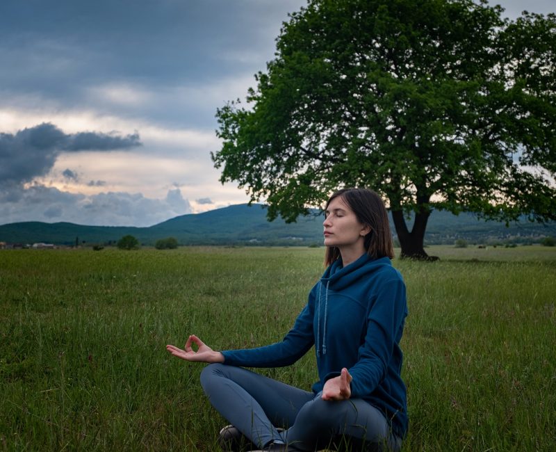 A young woman doing yoga near alone oak with sunset in nature. Self-analysis and soul-searching. Spiritual and emotional concept. Introspection and soul healing.
